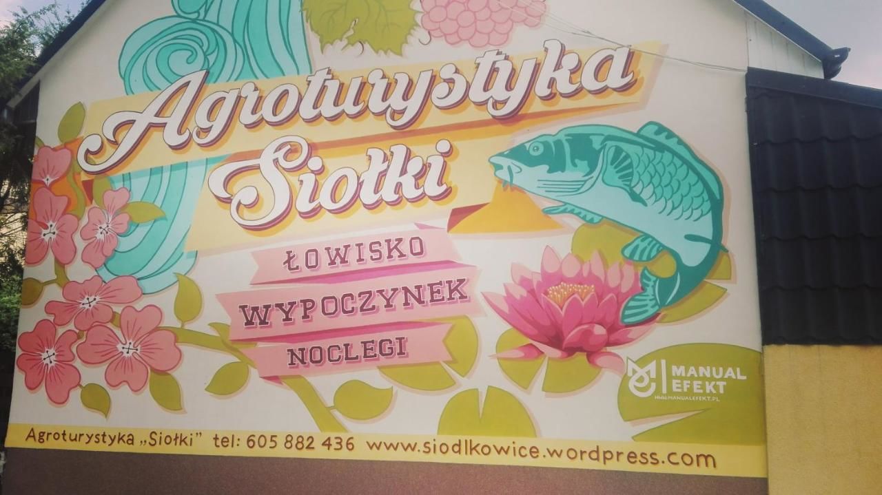 Фермерские дома Agroturystyka Siołki Siodłkowice-4